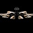 Серия потолочных светодиодных люстр с прозрачными листовидными плафонами с черными и латунными перегородками на лучевом каркасе VISUAL фото 15