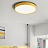 Светодиодные плоские потолочные светильники KIER 60 см  Желтый фото 14