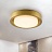 Светодиодный потолочный светильник BUTTON GOLD фото 3