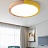 Светодиодный потолочный светильник в скандинавском стиле TWAIN 50 см  Желтый фото 8