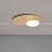 Потолочный светильник со стеклянным плафоном на латунной плоскости LONE Черный фото 8